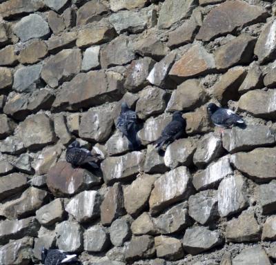 Прикрепленное изображение: 012.jpg